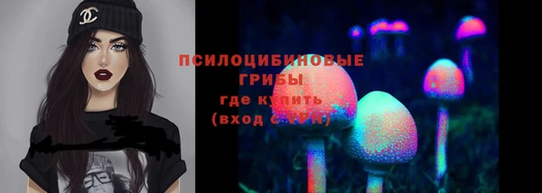бутират Алзамай